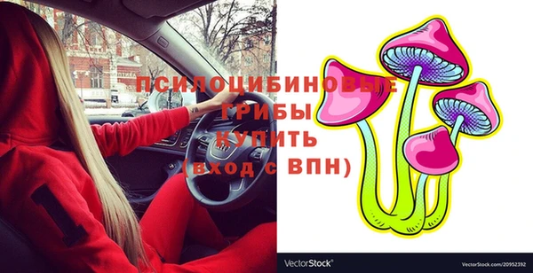 тгк Балахна