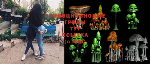 тгк Балахна